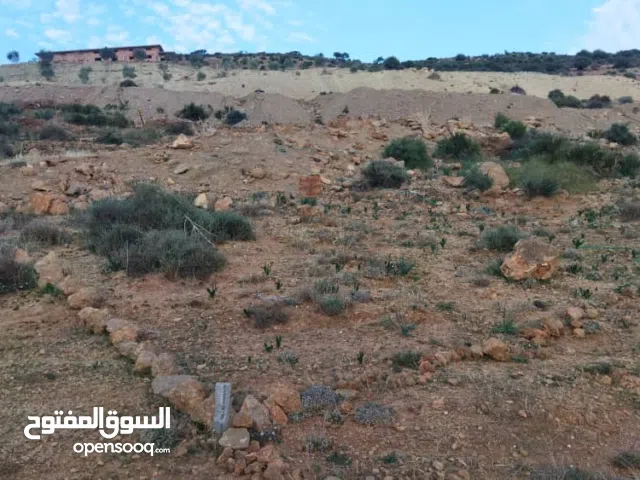 Residential Land for Sale in Tlemcen Other