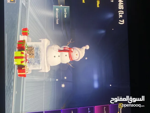 Pubg Accounts and Characters for Sale in Irbid