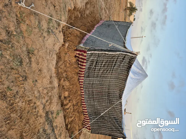 عشه جديده اول نصبه بمقاس4×4 للبيع المكان زليتن