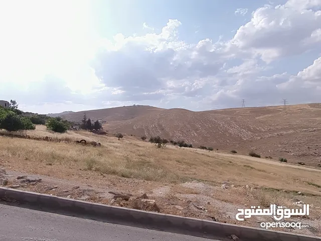 قطعة ارض سكنية للبيع في شفا بدران