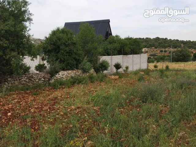 Farm Land for Sale in Ajloun I'bbeen