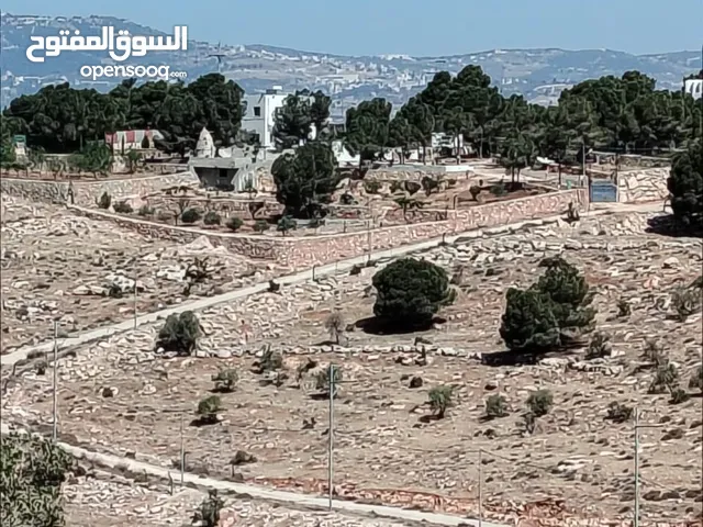 Farm Land for Sale in Jerash Unaybah