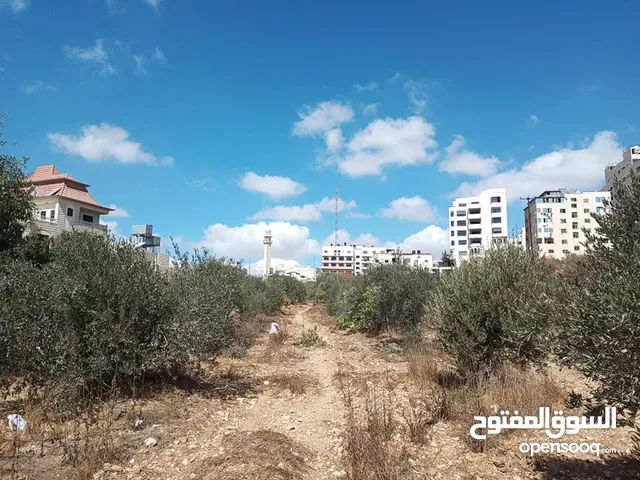 Mixed Use Land for Sale in Hebron Bir AlMahjir