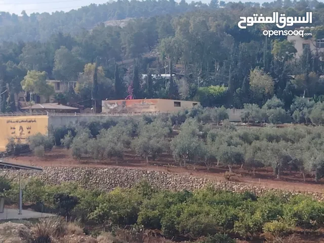 Farm Land for Sale in Jerash Tal Al-Rumman
