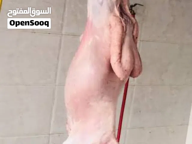 لحام وجزار متنقل  لذبح جميع انواع المواشي