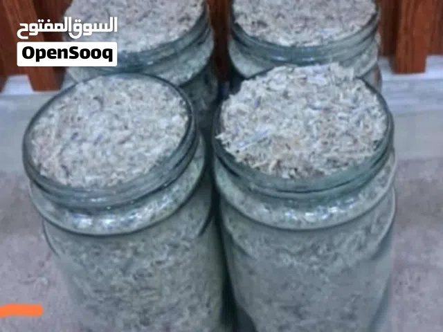 سحناه بيضاء