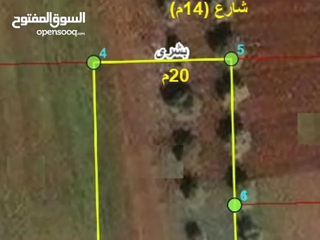 من اراضي بشرى ضمن حوض الكرستة الغربي من افضل مواقع الحي الشرقي