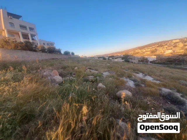 Residential Land for Sale in Irbid Kufr Ma'