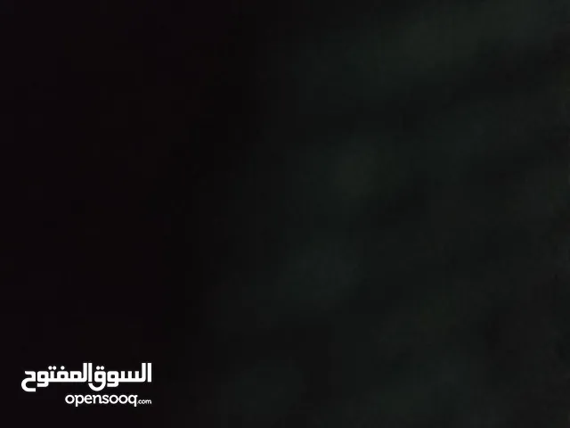 بيرمت عمومي خط جنين الجسر