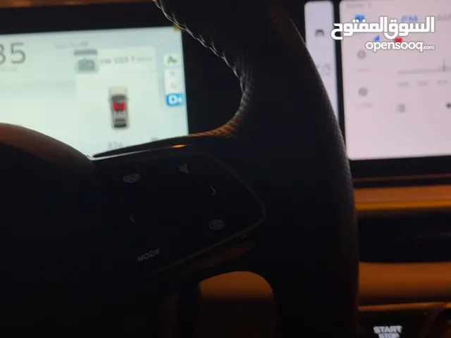 مطلوب كلب للتبني الدائم أو المؤقت