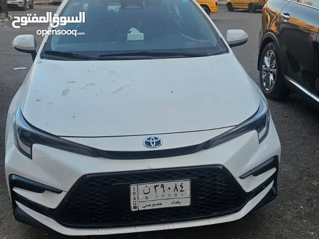 كورلا ليفن اس 2023