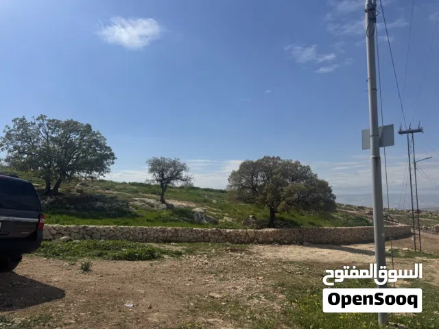 Residential Land for Sale in Amman Badr Jdedeh