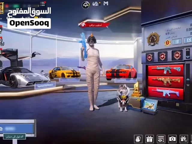 Pubg Accounts and Characters for Sale in Ibb