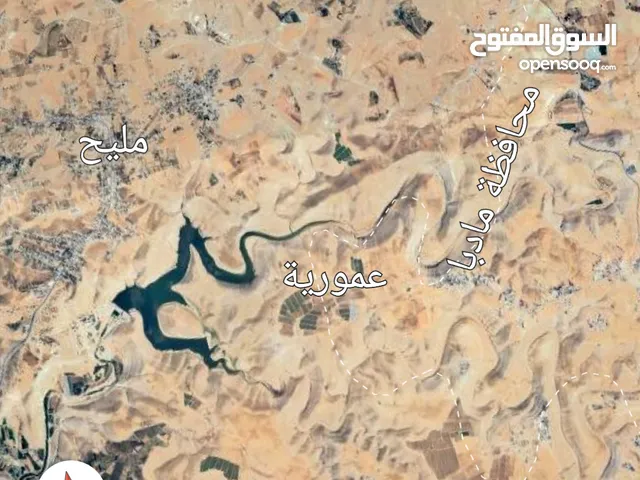ارض للبيع 912 مادبا مليح خربة عموريا