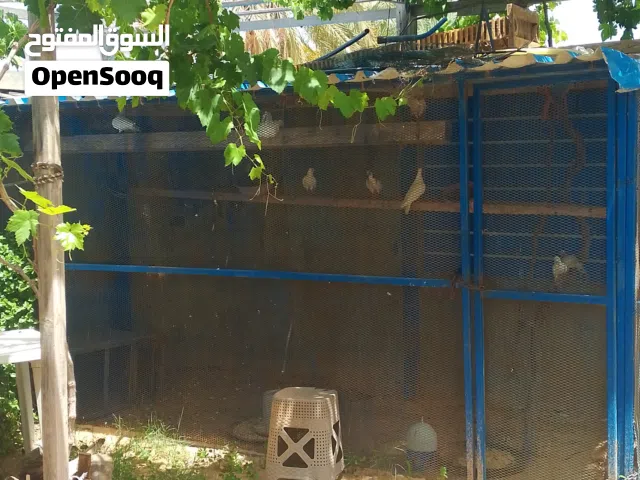 براكه حمام ريتي بكلاوة للبيع مساحتها 4 في 2 ميتروللبيع اهلي سعر