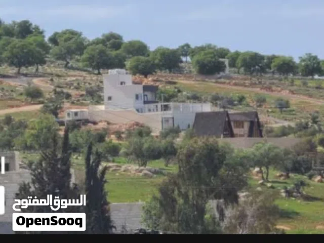Residential Land for Sale in Zarqa Al-Alouk