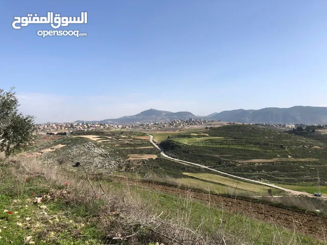 Residential Land for Sale in South Governorate Other