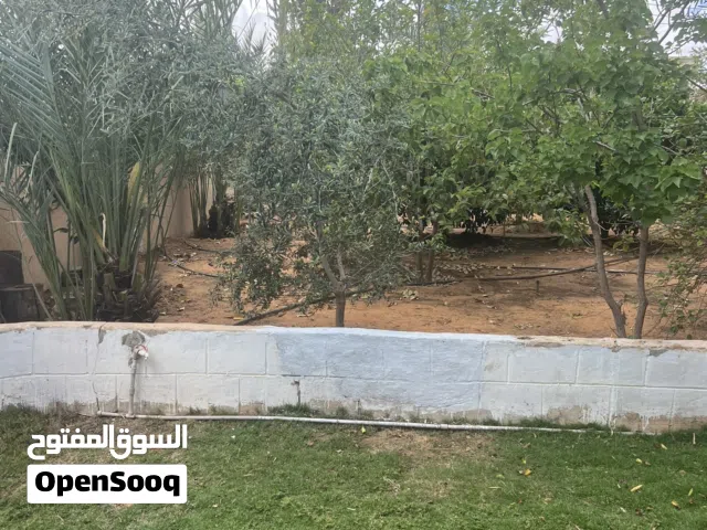 ارض للبيع مساحتها 500متر فيها استراحة مساحتها 90متر