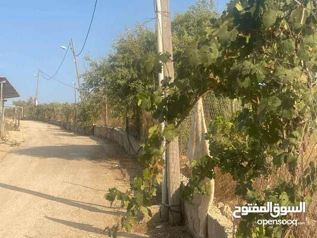 اراض 9 دونم مع مشروع مزرعه جاج مرخصه و موقع استراتيجي قريب ع معبر تجاري و مدخل اهل الداخل محتل