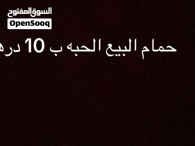 حمام البيع الحبه ب 10 درهم