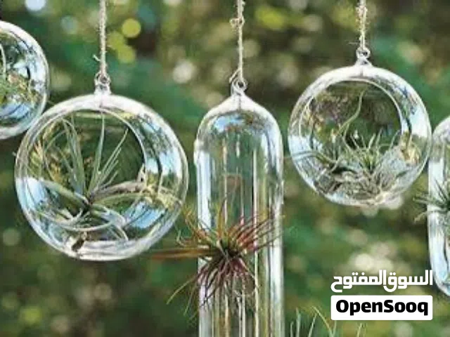 طقم مزهريات مرش مميز ونادر للبيع