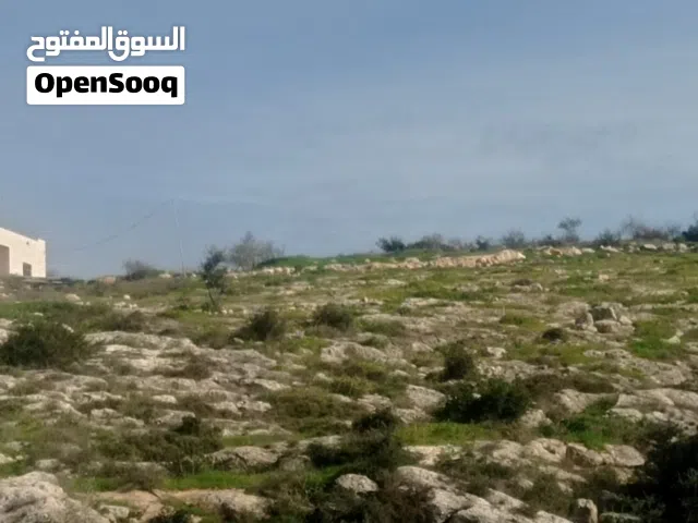 قطعة ارض للبيع دورا .دير العسل التحتا