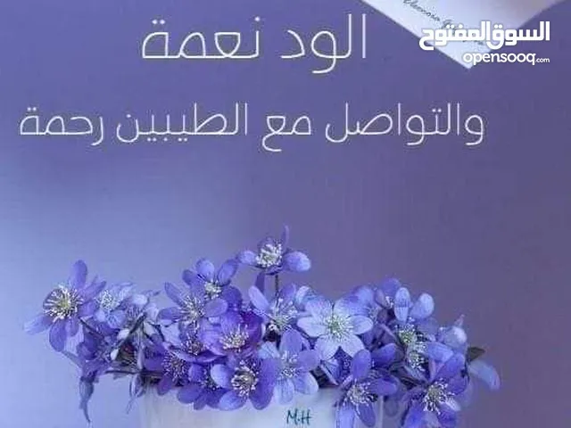 عشق الماضي