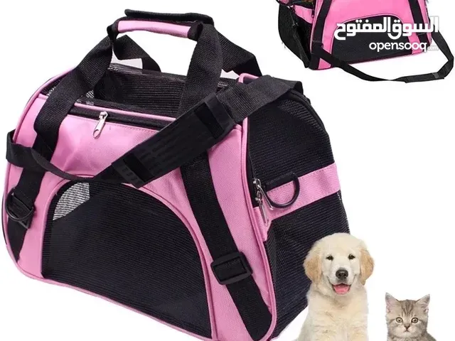 اكسسوارات ومستلزمات قطط