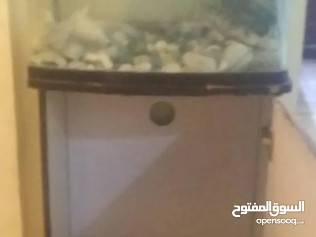 AQUARIUM WITH ACCESSORIES FOR SALE