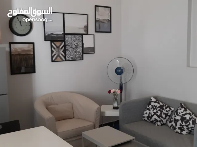 Excellent Fully Furnished Studio Flat