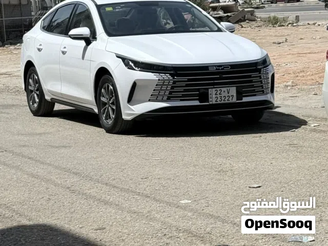 2025 بي واي دي ديستروير