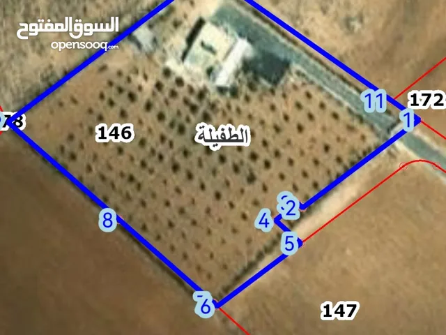 3 Bedrooms Farms for Sale in Tafila Al-Ayes
