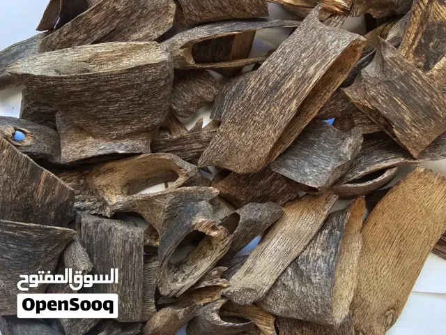 عود هندي (أسام)