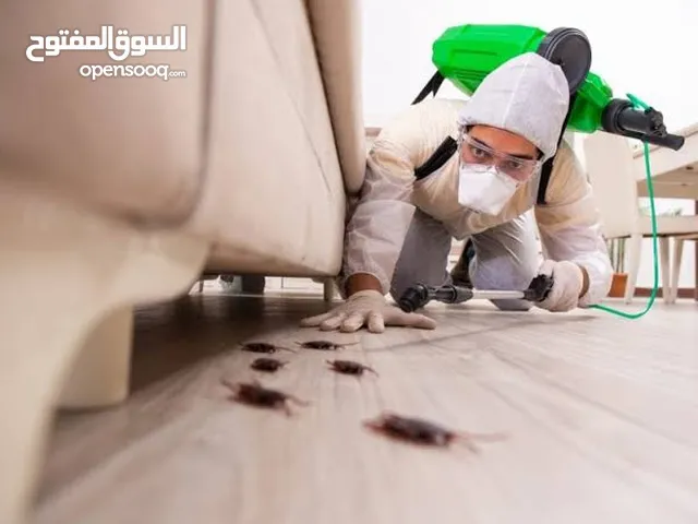 شركة مكافحة حشرات بالرياض لمكافحة جميع الحشرات الزاحفة والطائرة مع الضمان