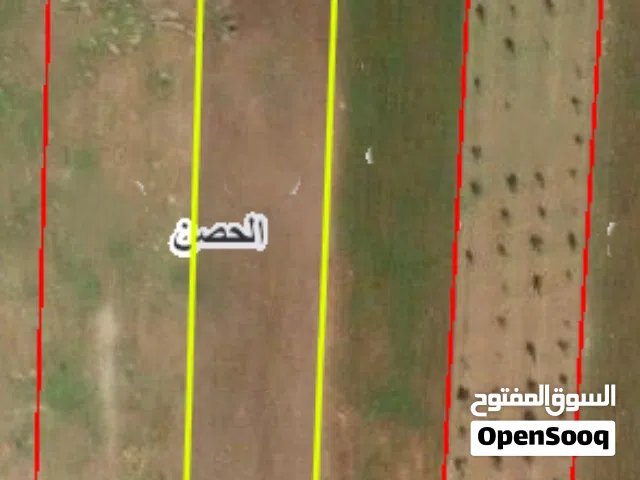 Residential Land for Sale in Irbid Al Husn