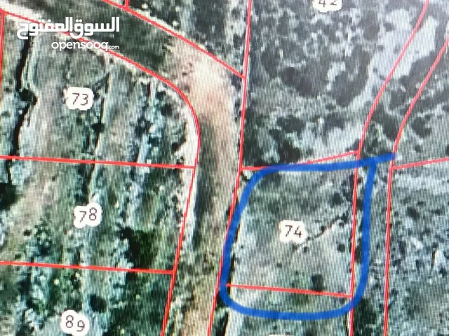 Residential Land for Sale in Tulkarm Kafr Rumman