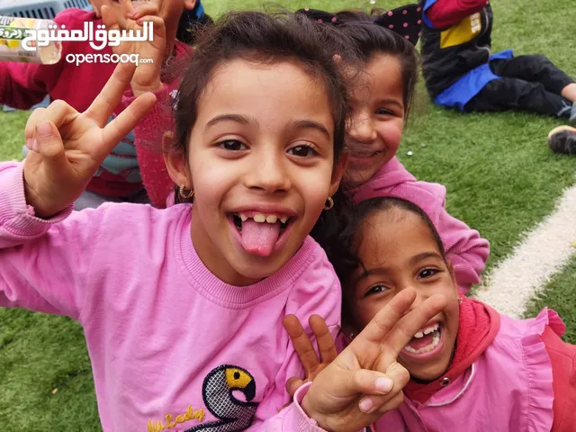 عماد الدين مناصر