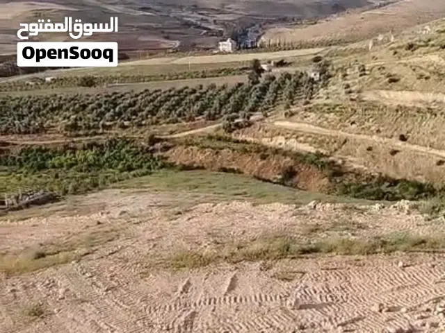 Farm Land for Sale in Zarqa Al-Alouk