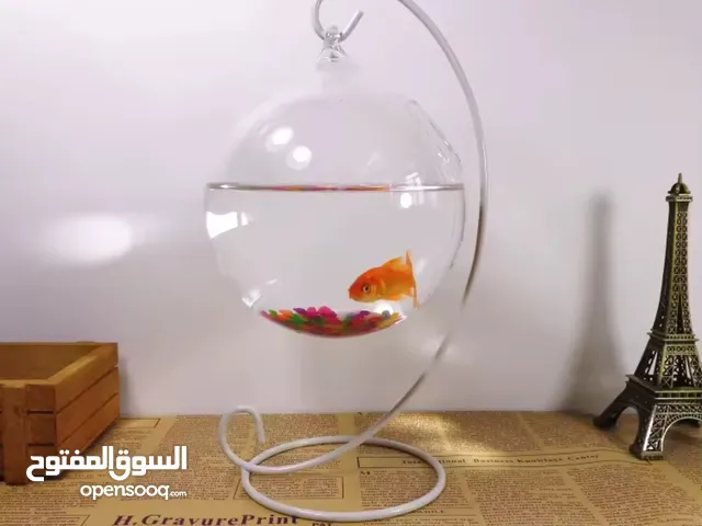 حواض لسمك الفايتر موجود جمله ومفرق