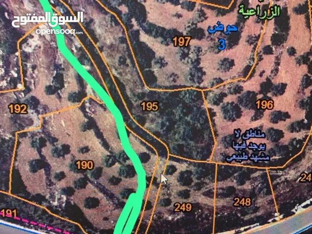 Mixed Use Land for Sale in Salfit Other