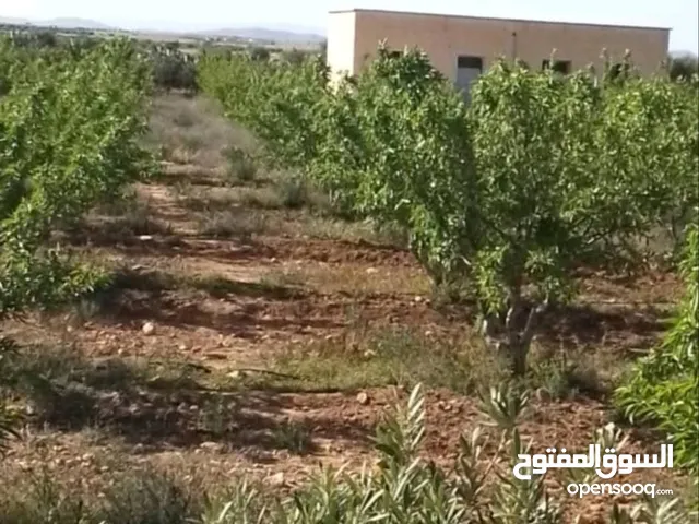 Mixed Use Land for Sale in Tunis Other