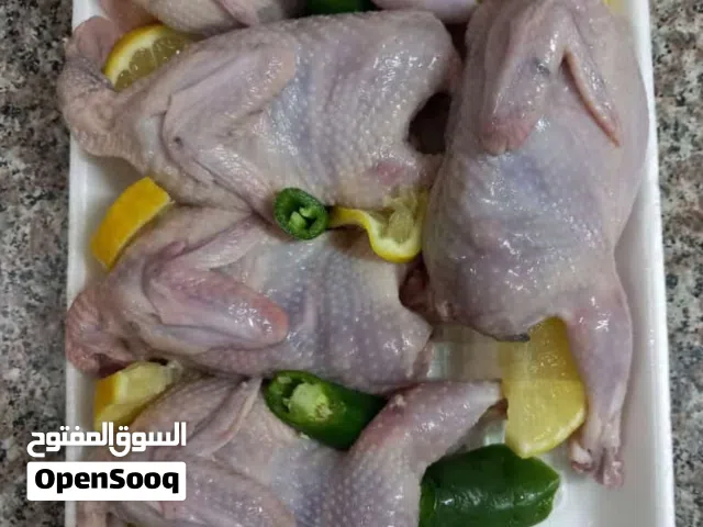 فري مذبوح منظف جاهز