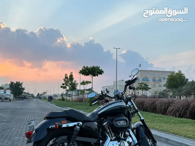 Harley Davidson 1200 Custom 2019 in Abu Dhabi