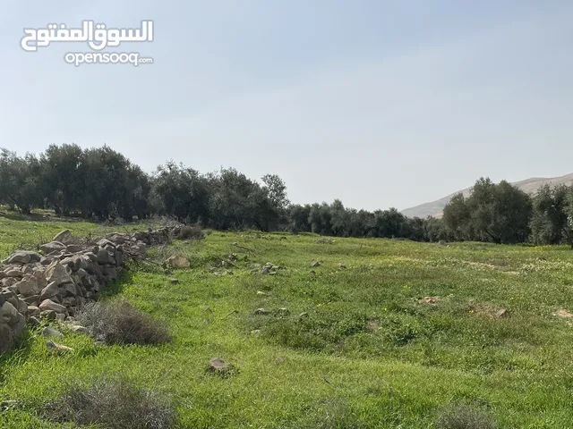 Farm Land for Sale in Zarqa Al Hashemieh