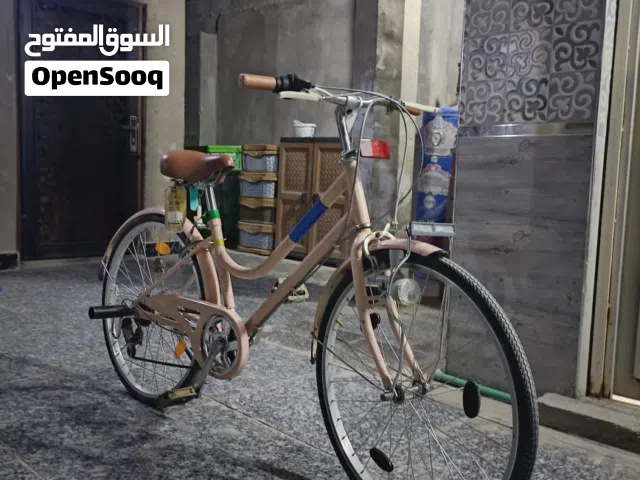 باييسكل حجم24