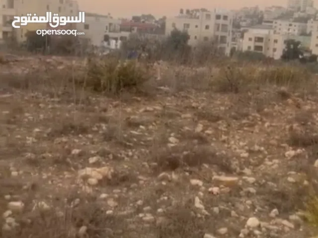 Residential Land for Sale in Ramallah and Al-Bireh Al Irsal St.