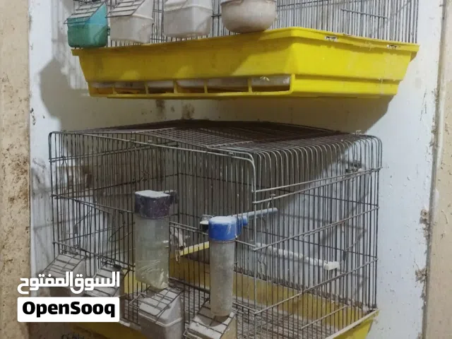 قفاص مطاير مستعمله للبيع 3 قفاص كاسكو و2 6ماكل وتقريب ال17 مطير 4 ماكل للبيع بسعر طري