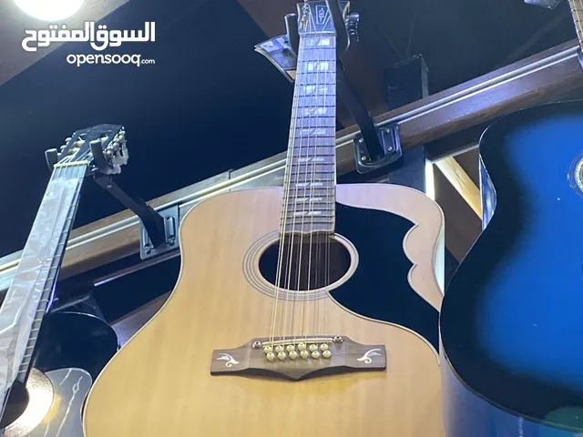 جيتار EKO احترافي