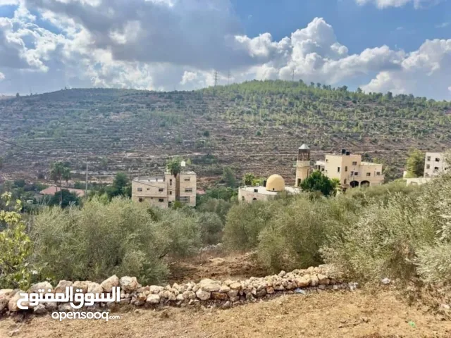 Residential Land for Sale in Bethlehem Battir