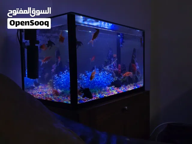 حوض سمك للبيع الوصف مهم